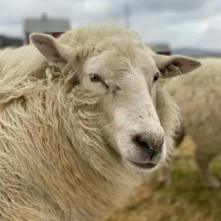 Historic Lighthouse Keeper's House At Hogstein Casa de Férias *