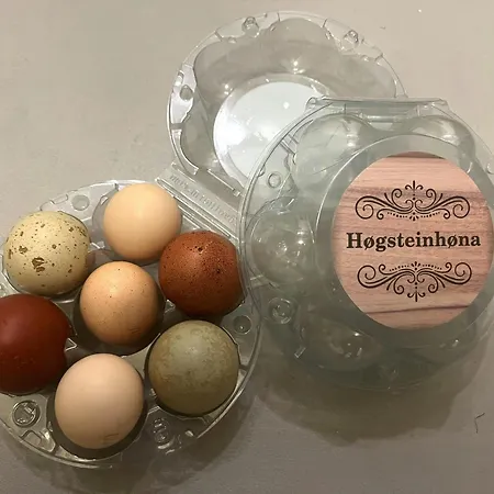 Historic Lighthouse Keeper's House At Hogstein Casa de Férias *