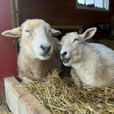 Casa de Férias Historic Lighthouse Keeper's House At Hogstein Godoy